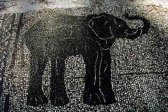 Elephant Ostia Antica
