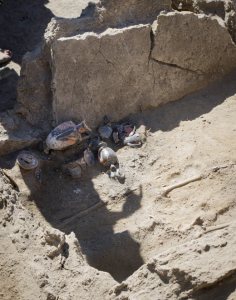 155837163-9171ee50-2b8f-422d-b732-d49f1073699d