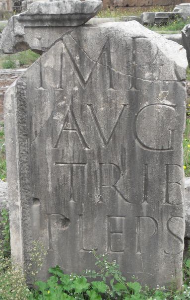 VLUU L310 W  / Samsung L310 W